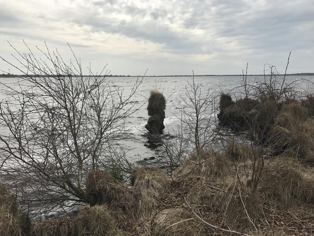 فندق Leezdorfer Hof المظهر الخارجي الصورة